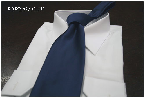 2008pal_tie_blue0.jpg