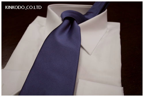 2008pal_tie_blue1.jpg