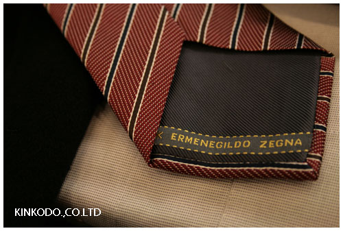 2009zegna_tie2.jpg