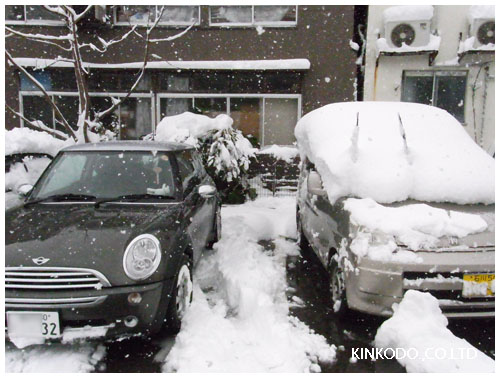 ドカ雪