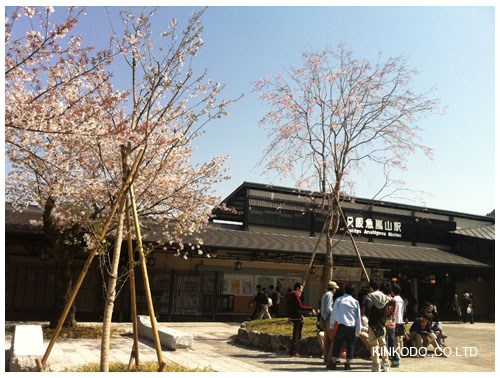 2011arashiyama1.jpg