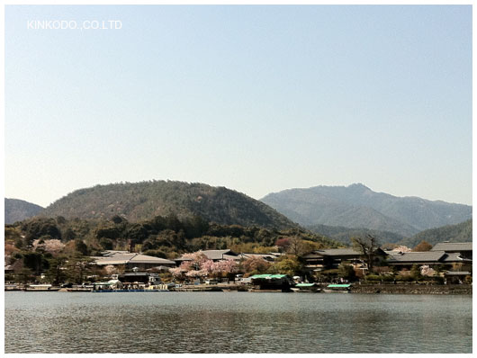 2011arashiyama2_2.jpg