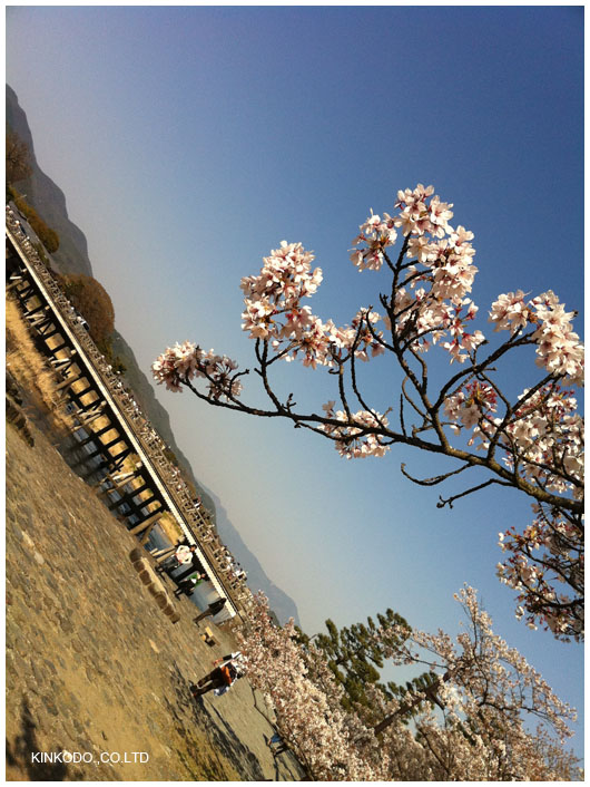 2011arashiyama3.jpg