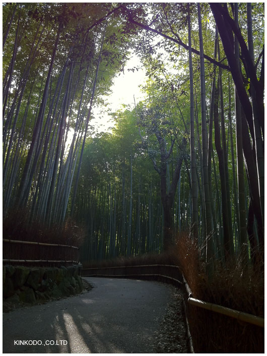 2011arashiyama9.jpg