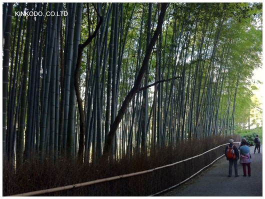 2011arashiyama9_2.jpg