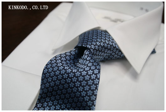 2011zegna_blue_tie1.jpg