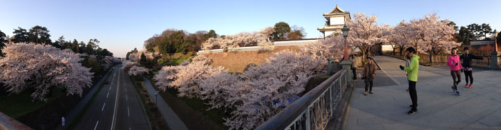 お花見ラン