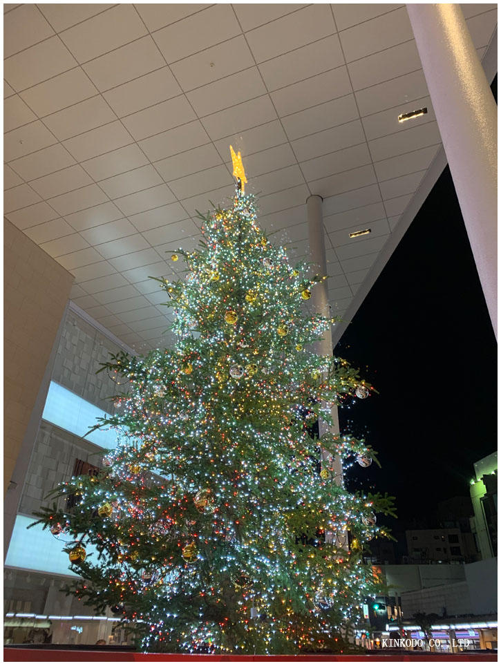 2019tree2.jpg