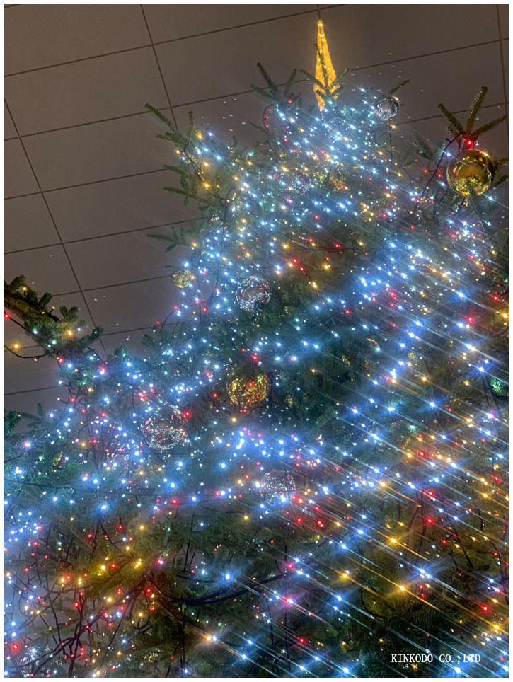 2019tree4.jpg