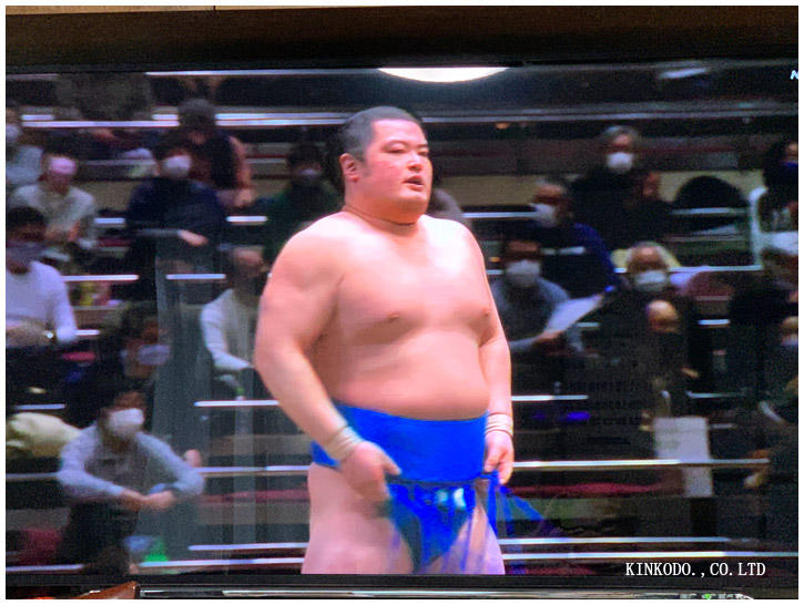 SUMO.jpg