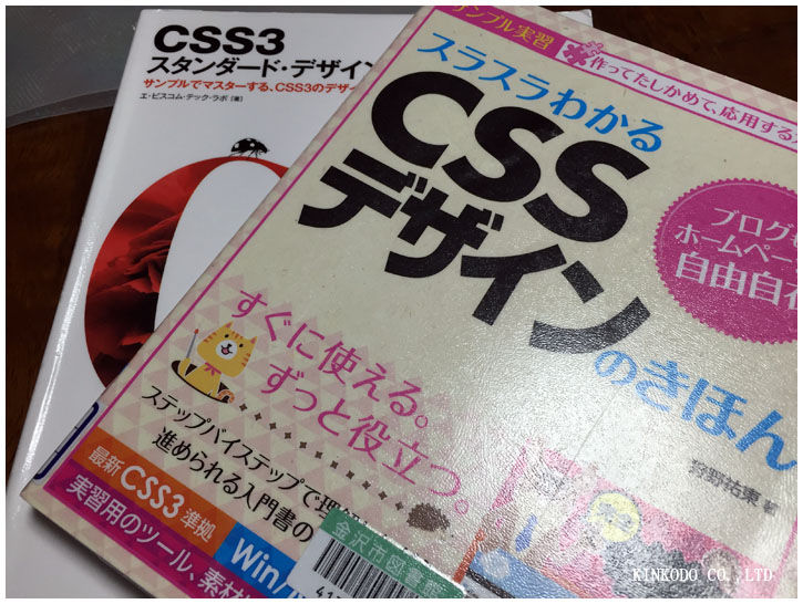 cssbook.jpg