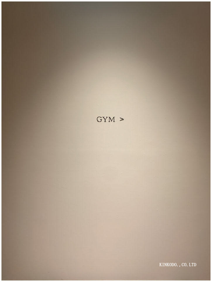 hyattogym.jpg