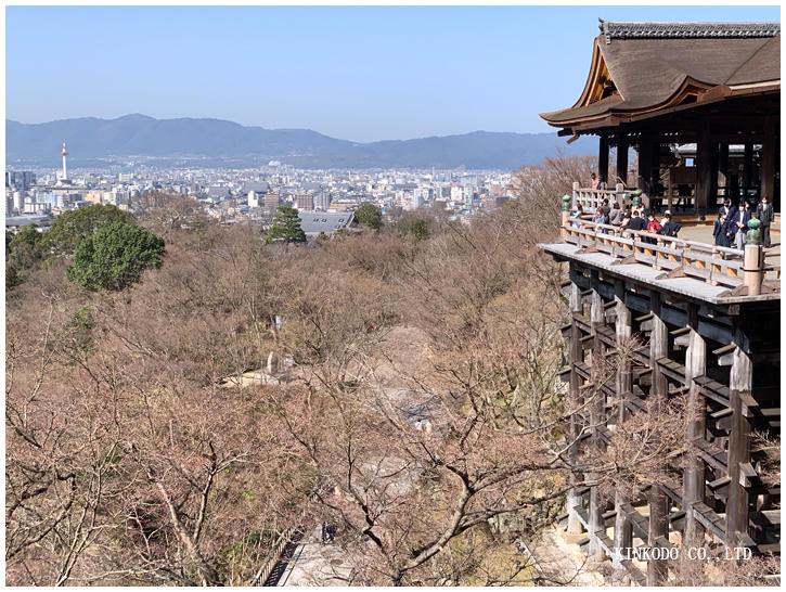 kiyomizu5.jpg