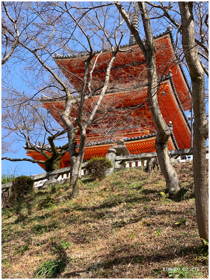 kiyomizu9.jpg