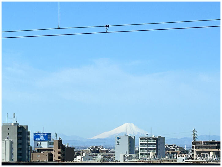 omiya_fujisan.jpg