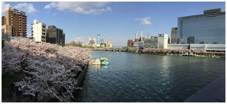 osakahanami15.jpg