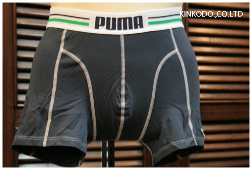 puma3.jpg