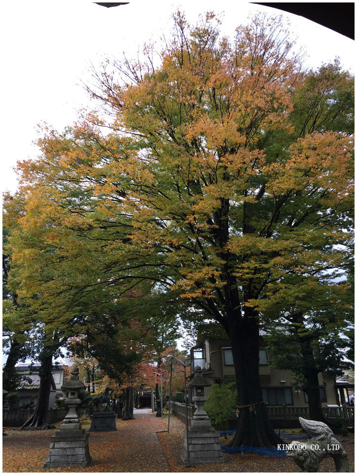 桜木神社