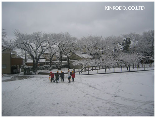 朝の小学校