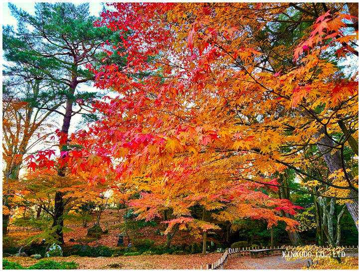 紅葉の兼六園