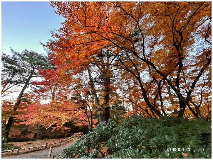 紅葉の兼六園