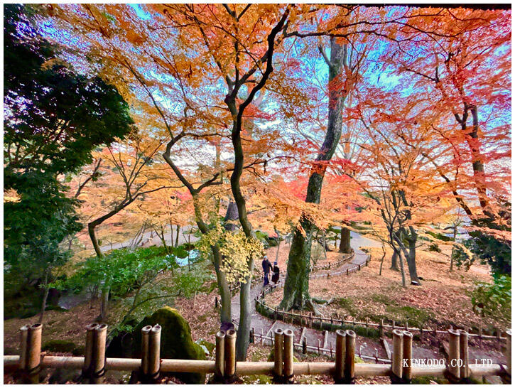 紅葉の兼六園