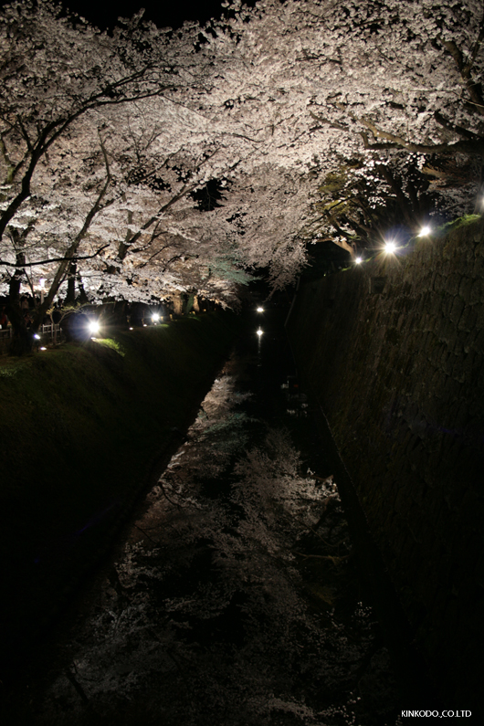 金沢城址公園内桜がお堀に映る